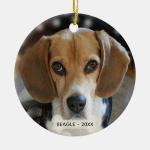 Ornamento De Cerâmica Foto personalizada do cão Beagle