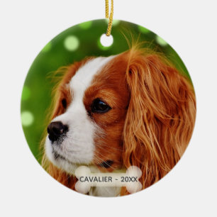 Ornamento De Cerâmica Foto personalizada do cão Cavalier King Charles Sp