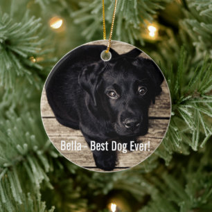 Ornamento De Cerâmica Foto personalizada do cão preto no laboratório e