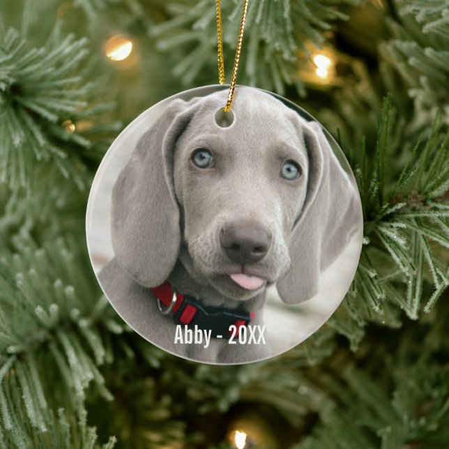 Ornamento De Cerâmica Foto personalizada do cão Weimaraner e nome do cão (Árvore)