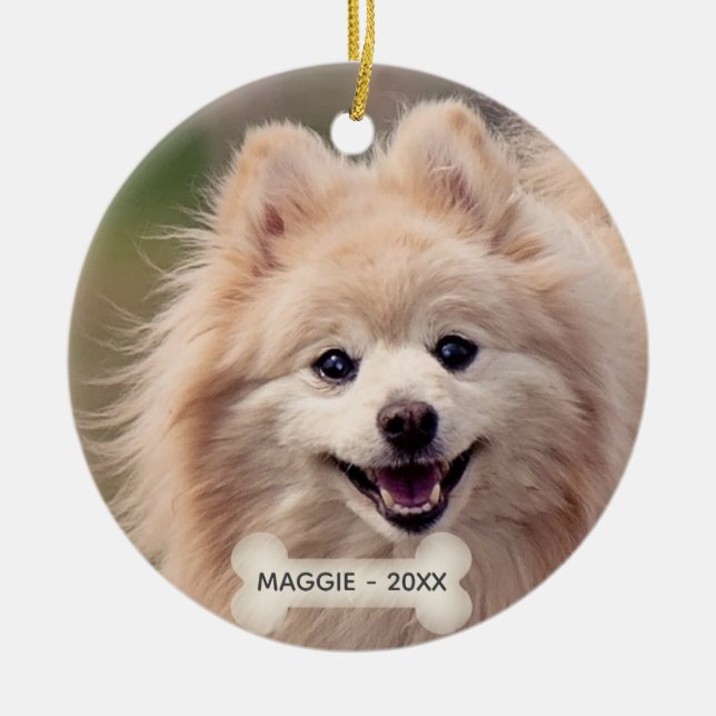 Ornamento De Cerâmica Foto personalizada simples de cachorro Pomeraniano (Frente)