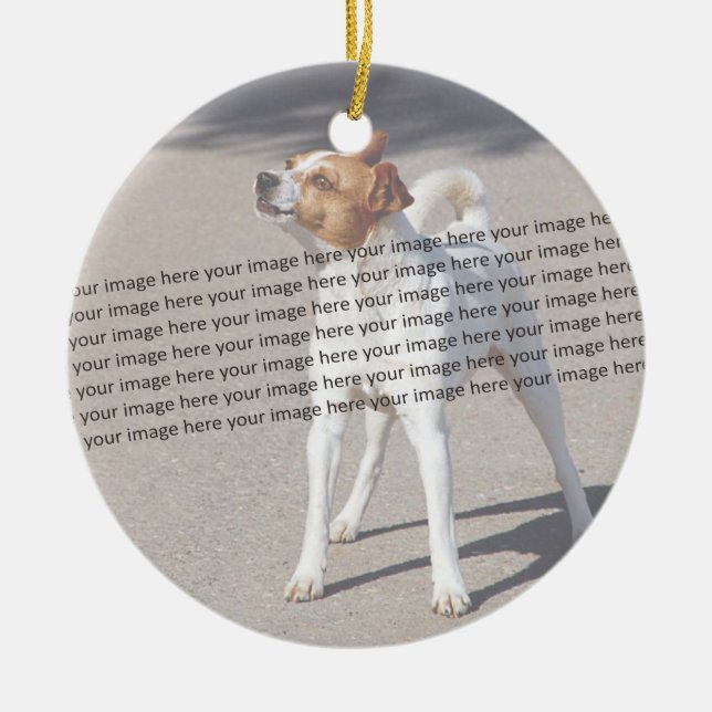 Ornamento De Cerâmica Foto PET ✨ Adorável Personalizada (Frente)