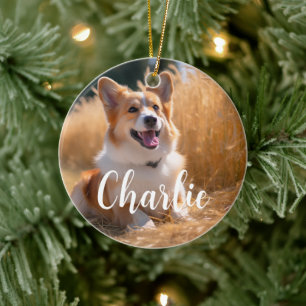 Ornamento De Cerâmica Foto Pet Personalizada com Nome