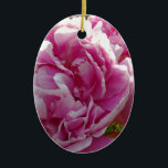 Ornamento De Cerâmica Foto rosa de Peony caseiro caseiro caseiro floral<br><div class="desc">Um belo jardim de peônias cor-de-rosa ao sol da manhã - foto de H Cooper.</div>