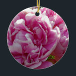 Ornamento De Cerâmica Foto rosa de Peony caseiro caseiro caseiro floral<br><div class="desc">Um belo jardim de peônias cor-de-rosa ao sol da manhã - foto de H Cooper.</div>