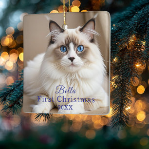 Ornamento De Cerâmica Foto Simples do Gato de Estimação 'Natal' Personal