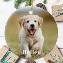 Foto Simples Pet Personalizada para o Lover do Cão