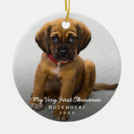 Ornamento De Cerâmica Foto Simples Puppy Primeiro Natal Moderno