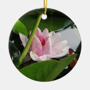 Ornamento De Cerâmica Fotografia cor-de-rosa da flor de Lotus branco