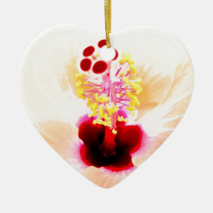 Ornamento De Cerâmica Fotografia da Flor de Hibisco