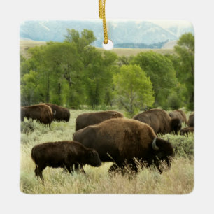 Ornamento De Cerâmica Fotografia de Animais da Natureza Bisão de Wyoming