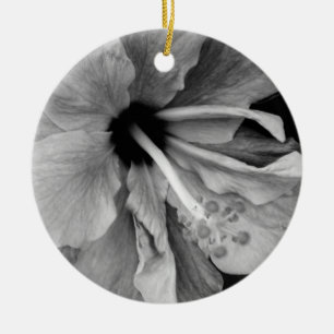 Ornamento De Cerâmica Fotografia de Flor de Hibisco