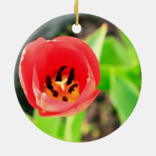 Ornamento De Cerâmica Fotografia de Flor de Tulipa Vermelha