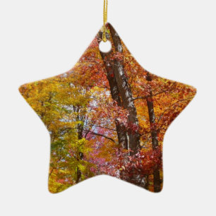 Ornamento De Cerâmica Fotografia de Outono de Árvores Laranjas e Amarela