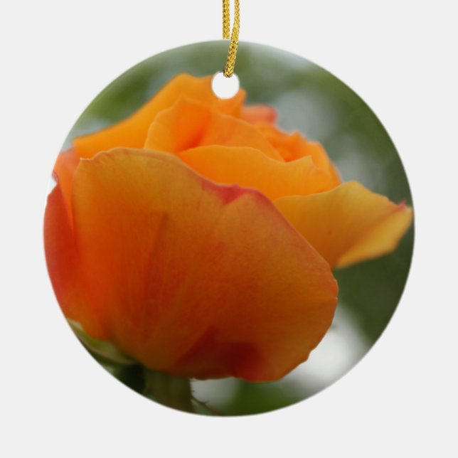 Ornamento De Cerâmica Fotografia linda de rosa amarela. (Frente)