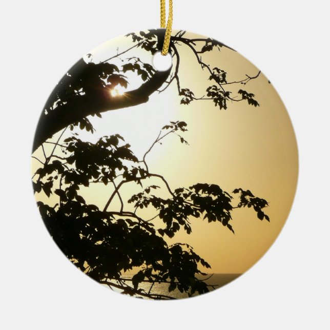 Ornamento De Cerâmica Fotografia Tropical II através do Sol (Frente)