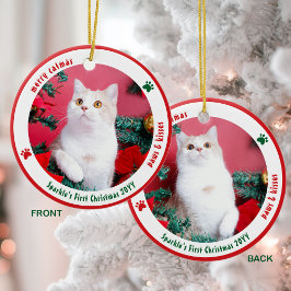 Ornamento De Cerâmica Fotos Personalizadas de Gatos Fofos no Primeiro Na