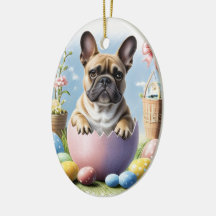 Französische Bulldogge Frohe Ostern French Bulldog