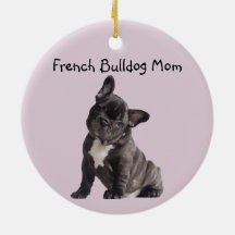 Frenchie Mãe Bulldog Francês