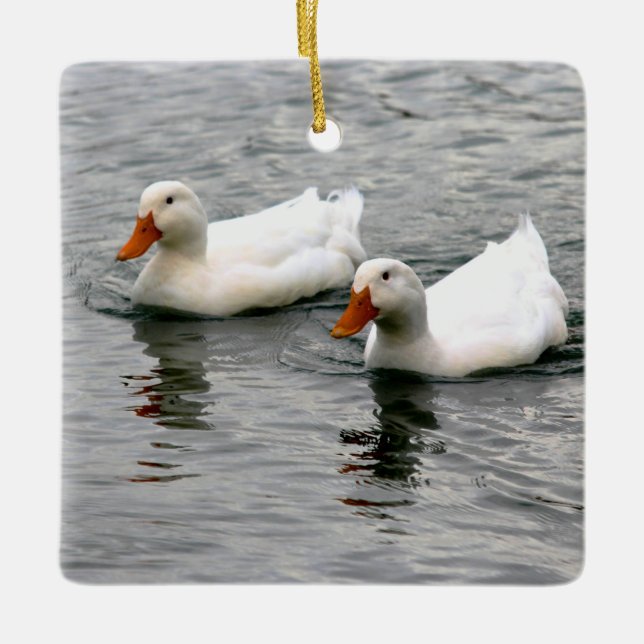 Ornamento De Cerâmica Friends For Life (Frente)