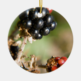 Ornamento De Cerâmica Frutas do Outono