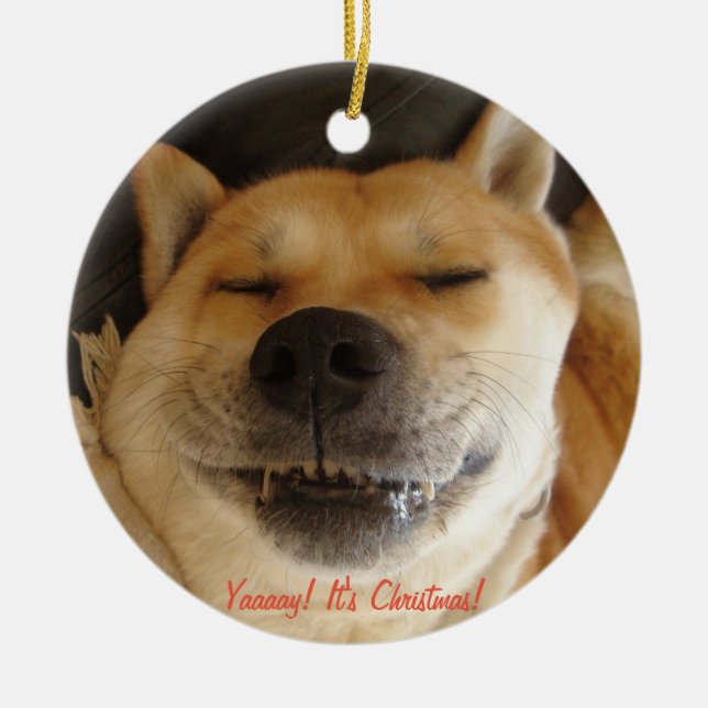 Ornamento De Cerâmica funny akita cute dog smiling at christmas (Frente)