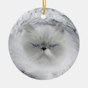 Ornamento De Cerâmica Furacão Gato Raivoso 5