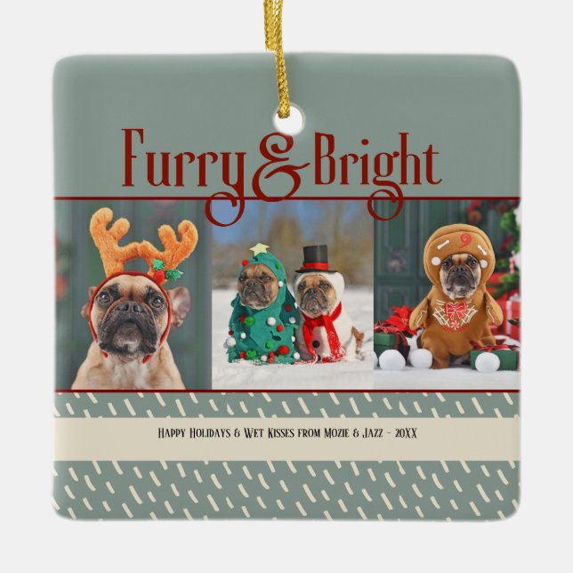 Ornamento De Cerâmica Furry & Bright Dog Christmas Photo Holiday (Frente)
