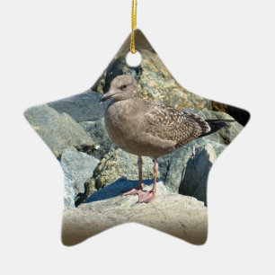 Ornamento De Cerâmica Gaivota Excelente Juvenil Black-Backing