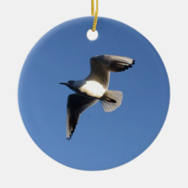 Ornamento De Cerâmica Gaivota-pequena