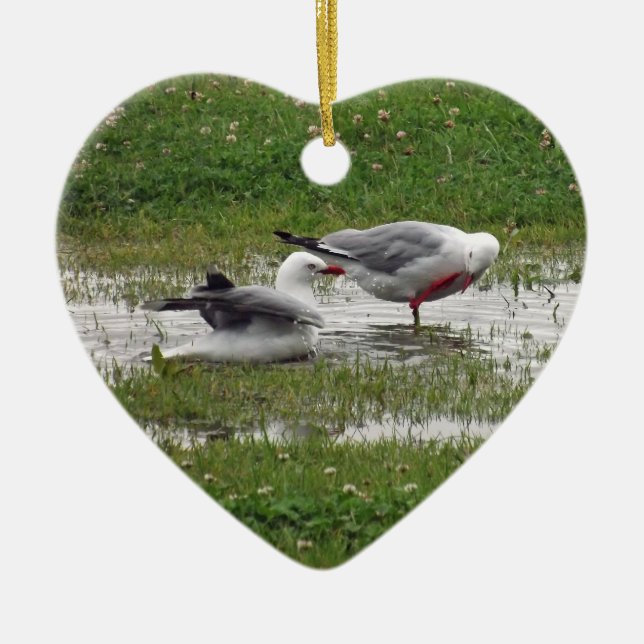 Ornamento De Cerâmica Gaivotas tomando banho (Frente)