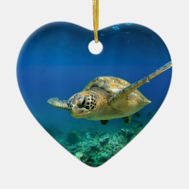 Ornamento De Cerâmica Galápagos paraíso tartaruga marinha verde submarin (Frente)