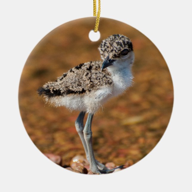 Ornamento De Cerâmica Galho (Frente)