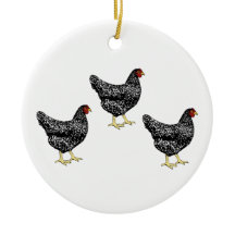 Galinhas Poedeiras Do Patrimônio Rochoso De Plymou