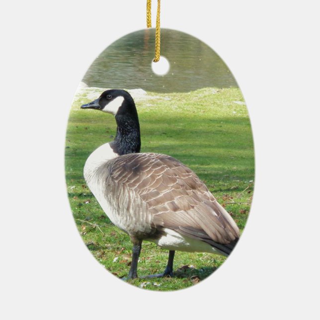 Ornamento De Cerâmica Ganso na beira-mar, animais selvagens, natureza (Verso)