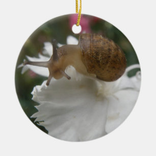 Ornamento De Cerâmica Garden Snail e White Carnação