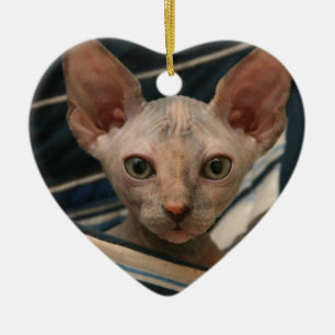 Ornamento De Cerâmica Gatinho bonito do sphynx dos objetos antigos