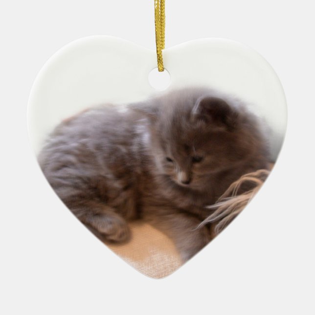 Ornamento De Cerâmica Gatinho cinzento de cabelos compridos bonito do © (Frente)