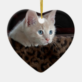 Ornamento De Cerâmica Gatinho Creme com Olhos Azuis Lindos