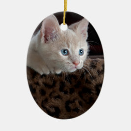 Ornamento De Cerâmica Gatinho Creme com Olhos Azuis Lindos