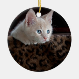 Ornamento De Cerâmica Gatinho Creme com Olhos Azuis Lindos
