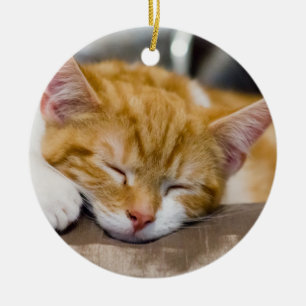 Ornamento De Cerâmica Gatinho Gato