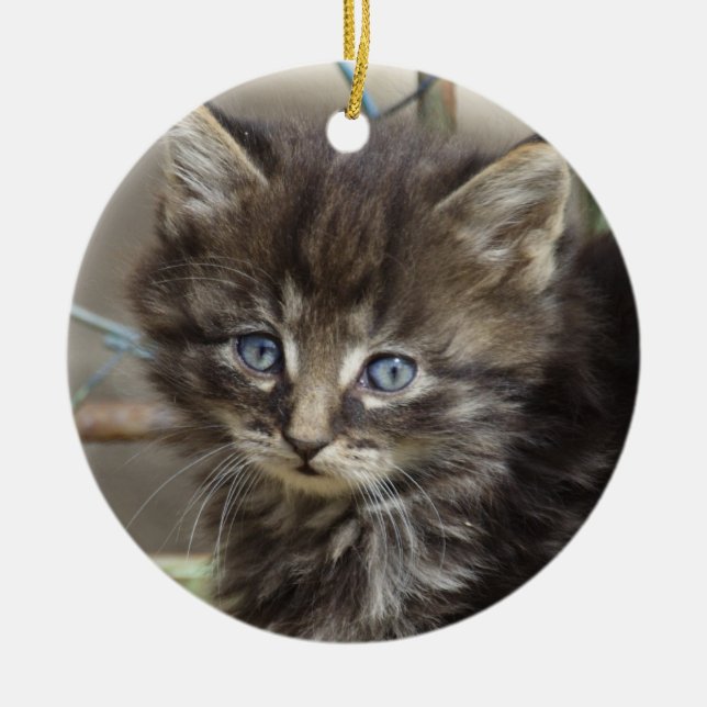 Ornamento De Cerâmica Gatinho Gato-De-Gato-De-Gato-Gato (Frente)