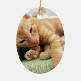 Ornamento De Cerâmica Gatinho Listrado de Tigre Fofo