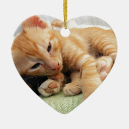 Ornamento De Cerâmica Gatinho Listrado de Tigre Fofo