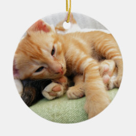 Ornamento De Cerâmica Gatinho Listrado de Tigre Fofo