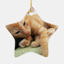 Ornamento De Cerâmica Gatinho Listrado de Tigre Fofo