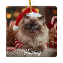 Gatinho Ragdoll Fofo Natal Mágico Personalizado