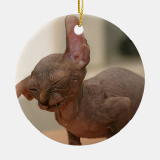 Ornamento De Cerâmica Gatinho sneezing engraçado do sphynx