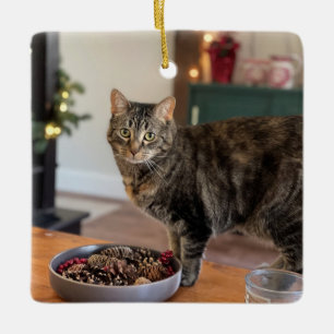 Ornamento De Cerâmica Gatinho Torti